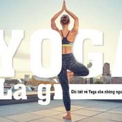 Yoga là gì?