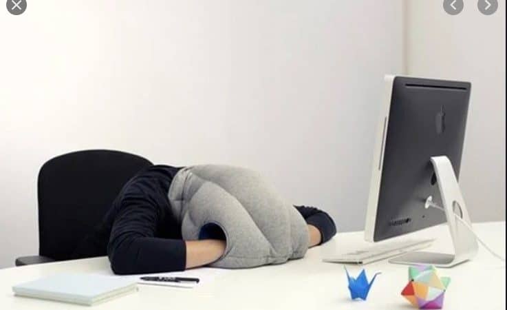 [Wellness] Bí quyết cải thiện chất lượng giấc ngủ trưa cho dân văn phòng