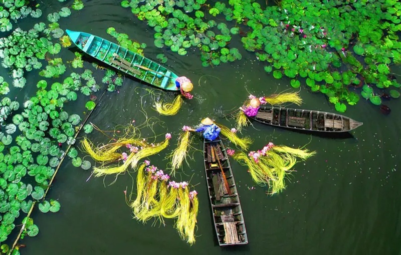Đồng Bằng Sông Cửu Long